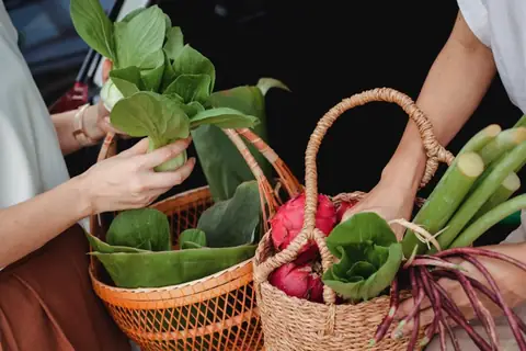 One Twin Went Vegan, the Other Didn’t – Here’s What Happened